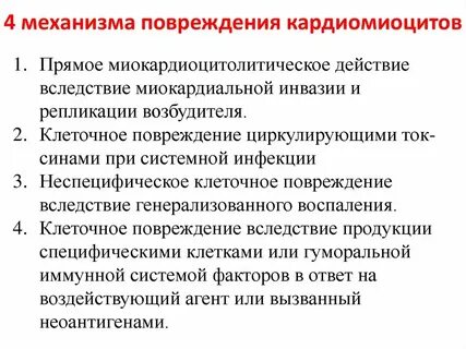 Механизм миокарда