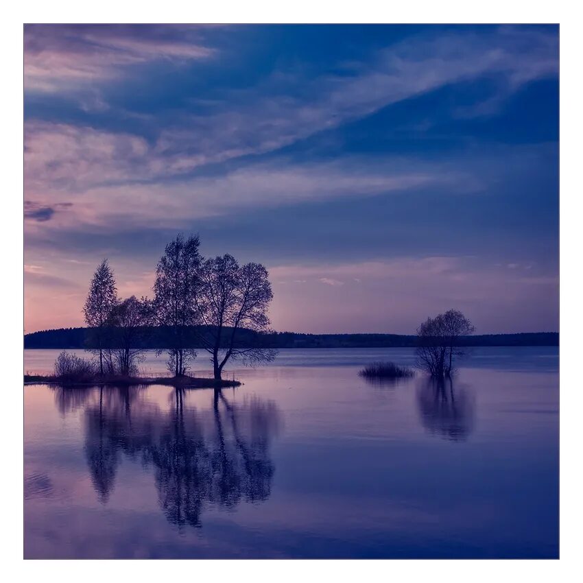 эдвард и белла на поляне. кусты сирени в сумерках. сиреневый туман. чердаков вячеслав художник картины. Twilight city: love as a cure.