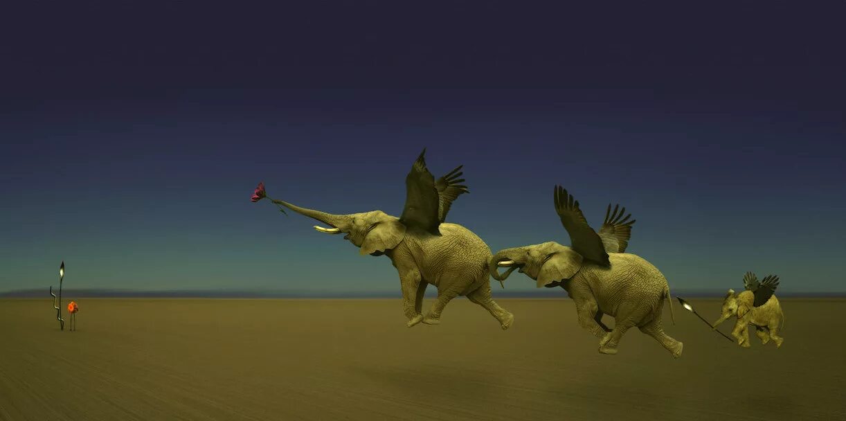 слоник для прыжков. летающие слоны. слоны летят на север. сказочный летающий слон. слон с крыльями.