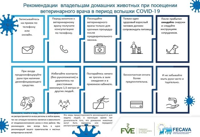 Рекомендации клинике. Советы для хозяев питомцев. Рекомендации собственникам. Ветеринарные рекомендации это. Памятка для владельцев животных в ветеринарной клинике.