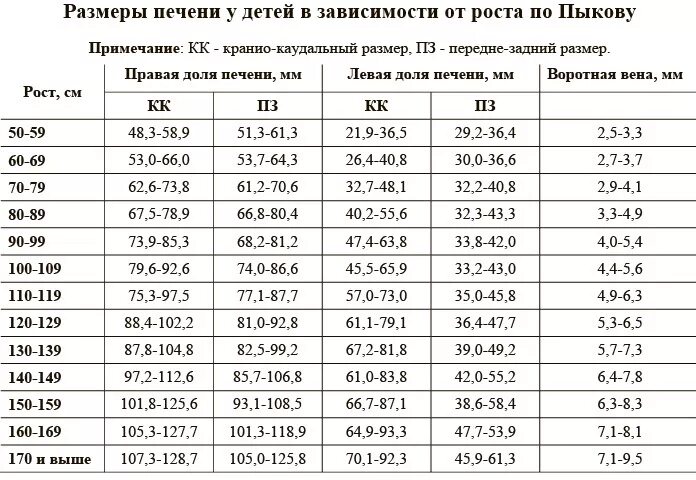 Размеры печени на узи у мужчин