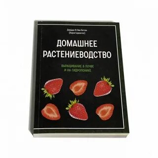 Хорхе сервантес библия
