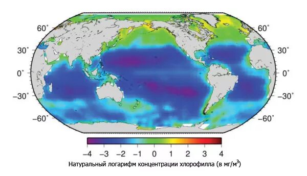 Сколько процентов биомасса земли находится в океане. Биомасса мирового океана. мировой океан биомасса карта. концентрация фитопланктона в мировом океане карта. биомасса земли.