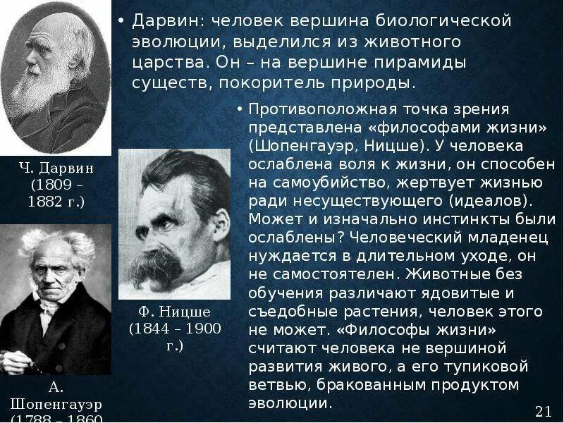 Шопенгауэр ницше. Философия жизни шопенгауэра и ницше. Философы ницше шопенгауэр. Иррационализм в философии. А.