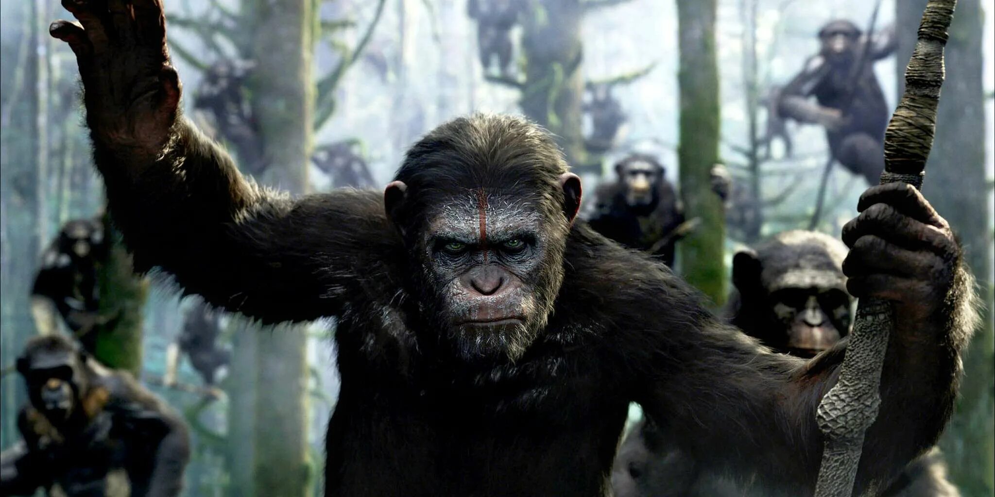 Планета обезьян: революция фильм 2014. Планета обезьян революция цезарь. Планета обезьян революция цезарь. Обезьяны против людей. Планета обезьян люди в клетках.