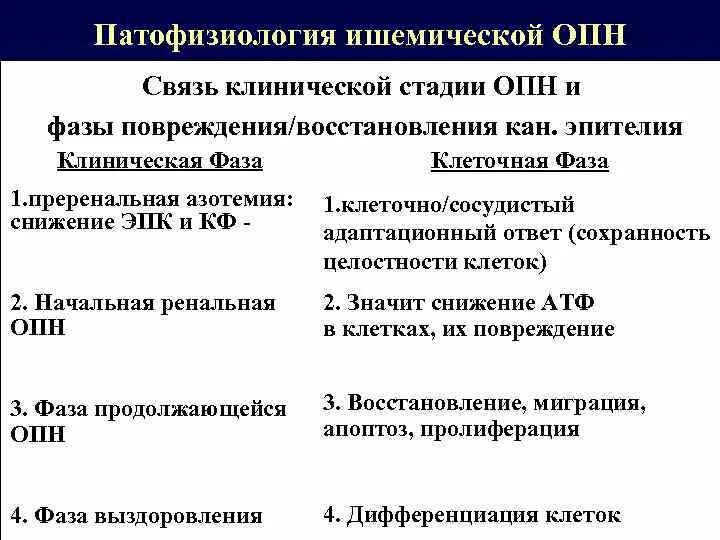 Гипокалиемия при острой почечной недостаточности. Преренальная ОПН патофизиология. Стадии ОПН. Причины преренальной формы острой почечной недостаточности. Причины опн