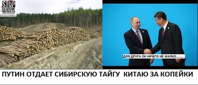 Бурятия отдана китаю. Бурятия отдана китаю. Земли бурятии отдают китайцам. Китайцы на дальнем востоке. Бурятия отдана китаю.