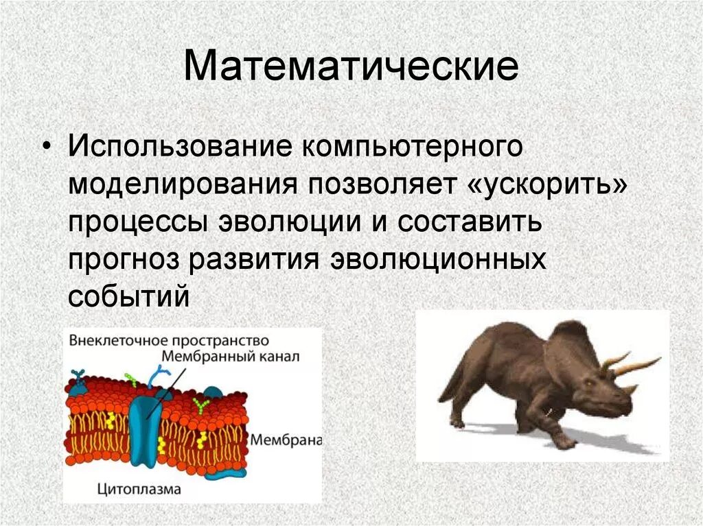 Доказательства эволюции список. Математические доказательства эволюции. математические доказательства эволюции примеры. компьютерное моделирование эволюционного процесса. математическое доказание эволюции.