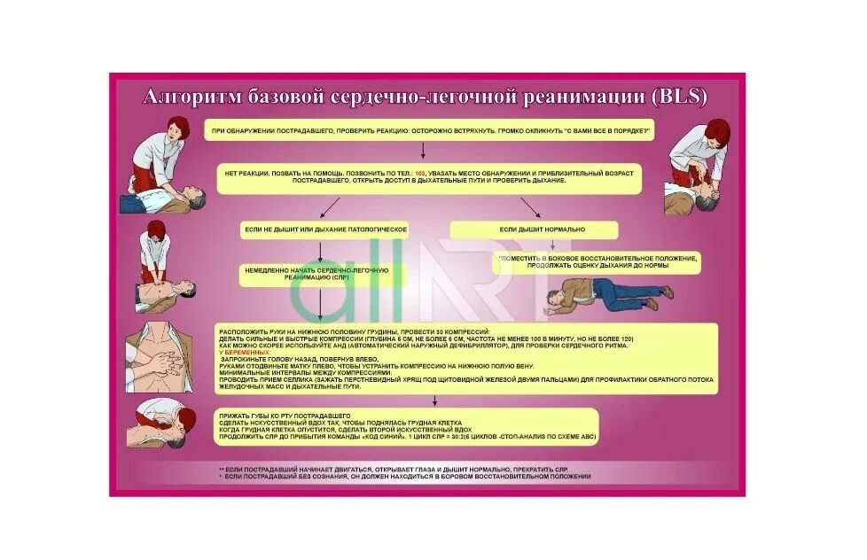 Сердечно легочная реанимация алгоритм кратко. Остановка сердца реанимация.