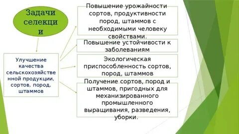 Задачи селекции улучшение