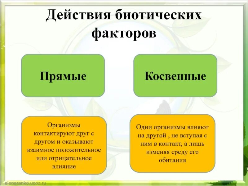 На сколько групп можно разделить все биотические. Биотические факторы прямые и косвенные. Прямое и косвенное влияние биотических факторов. Прямые и косвенные экологические факторы. Прямое и косвенное влияние экологических факторов.