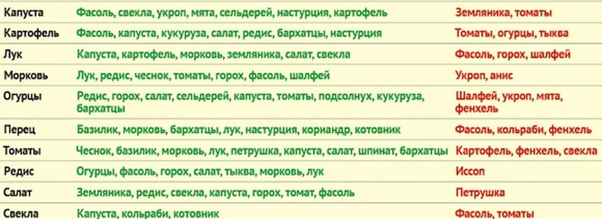 Совместимость растений на огороде. Совместимость овощей на грядке. Совместимость растений на грядке. Таблица совместимости овощей на грядке.