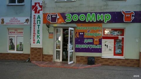 Зоомир васенко 32