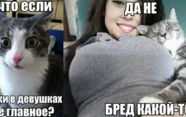 Да нет бред. Да нет бред