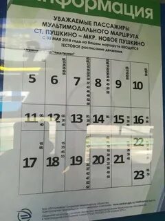 16 маршрутка пушкино