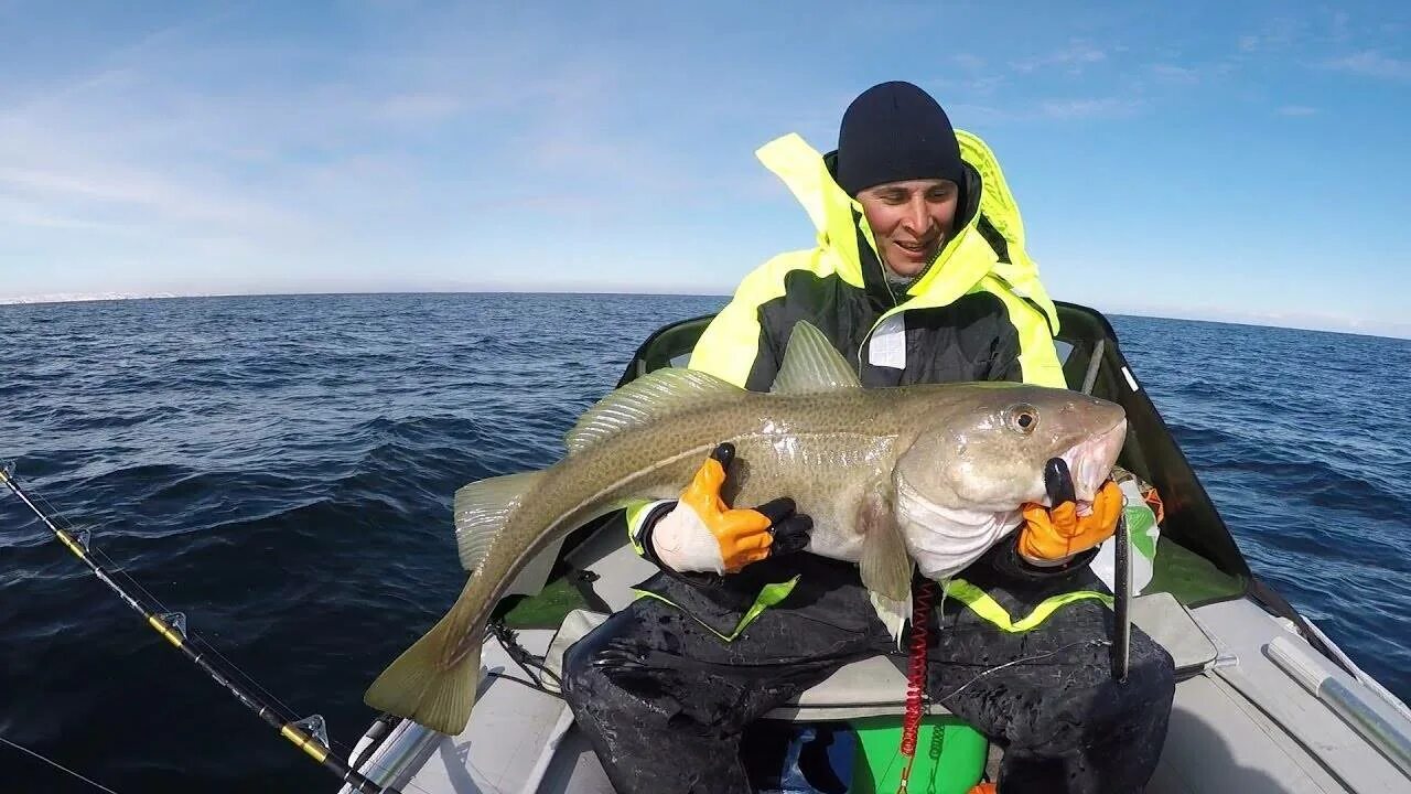 Морская рыбалка треска. Морская рыбалка в Баренцевом море. Баренцево море. Морская рыбалка треска. Треска Баренцева моря. Рыбачий патруль Мурманск.