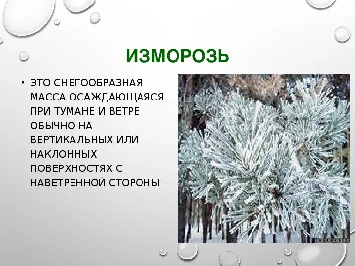 Изморозь это осадки. Иней изморозь куржак. Словарь что такое изморозь. Изморозь атмосферные осадки. Толкование слова изморозь.