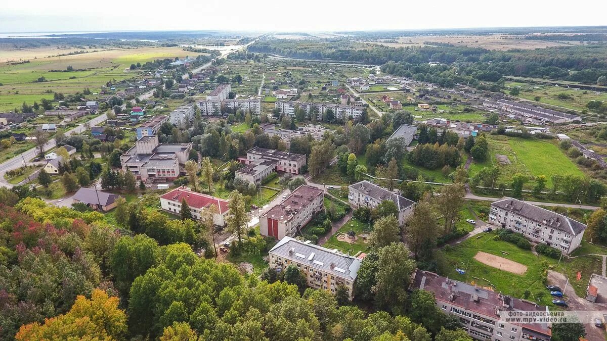 Борки новгородская область