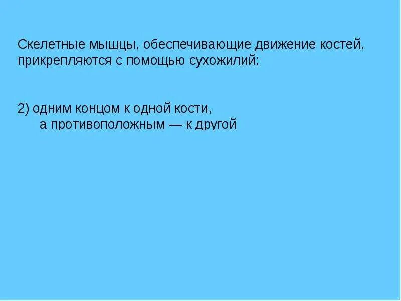 Прикрепляются к костям с помощью сухожилий. Скелетные мышцы обеспечивающие движение костей. кости прикреплены с помощью. контрольная работа по теме опорно двигательная система 8 класс.