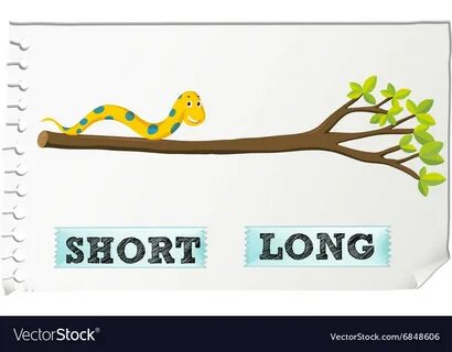 Long picture