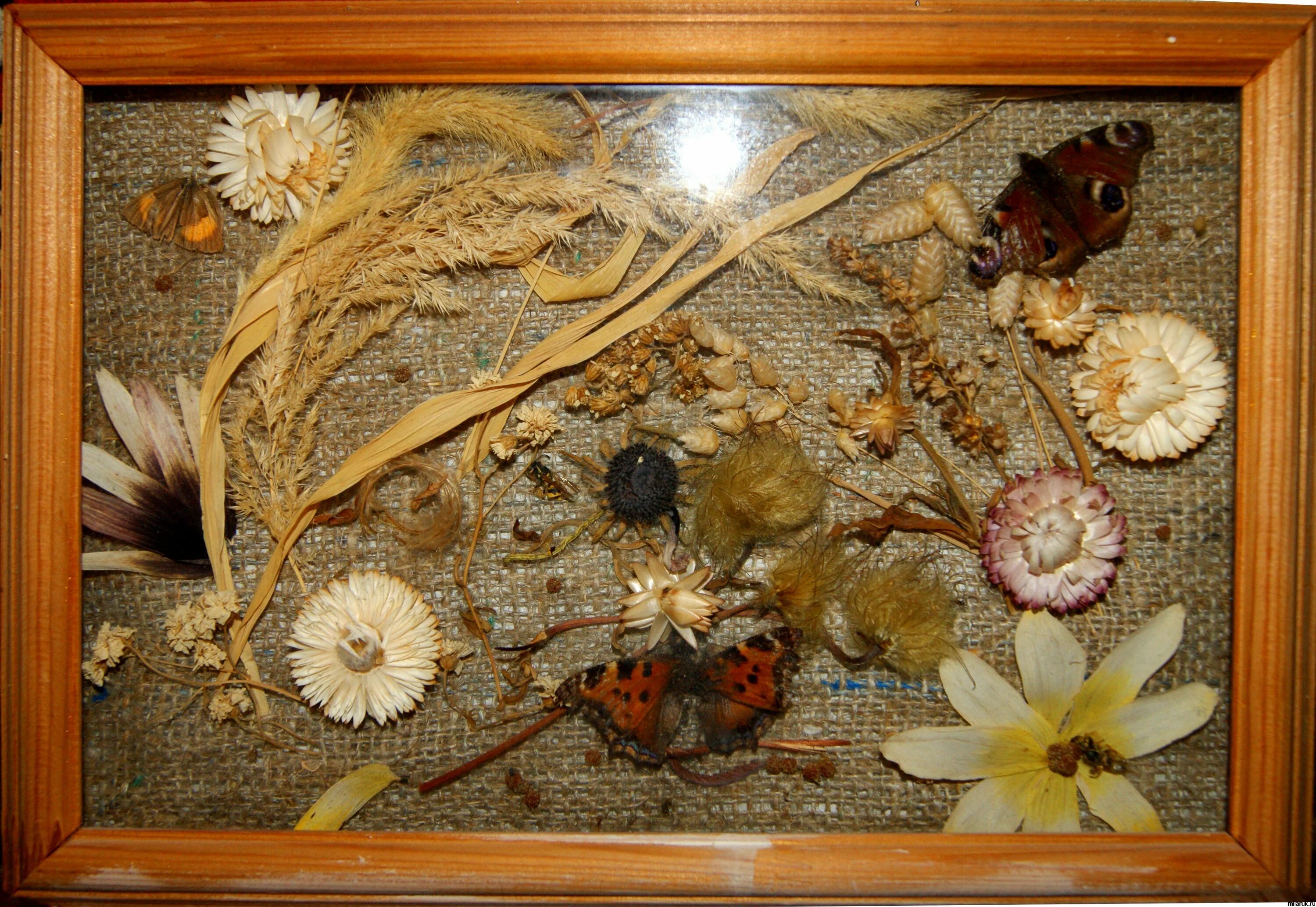 картины из кожи. панно из сухоцветов в технике терра. коллаж из сухоцветов в технике терра. объемное панно. техника терра панно.