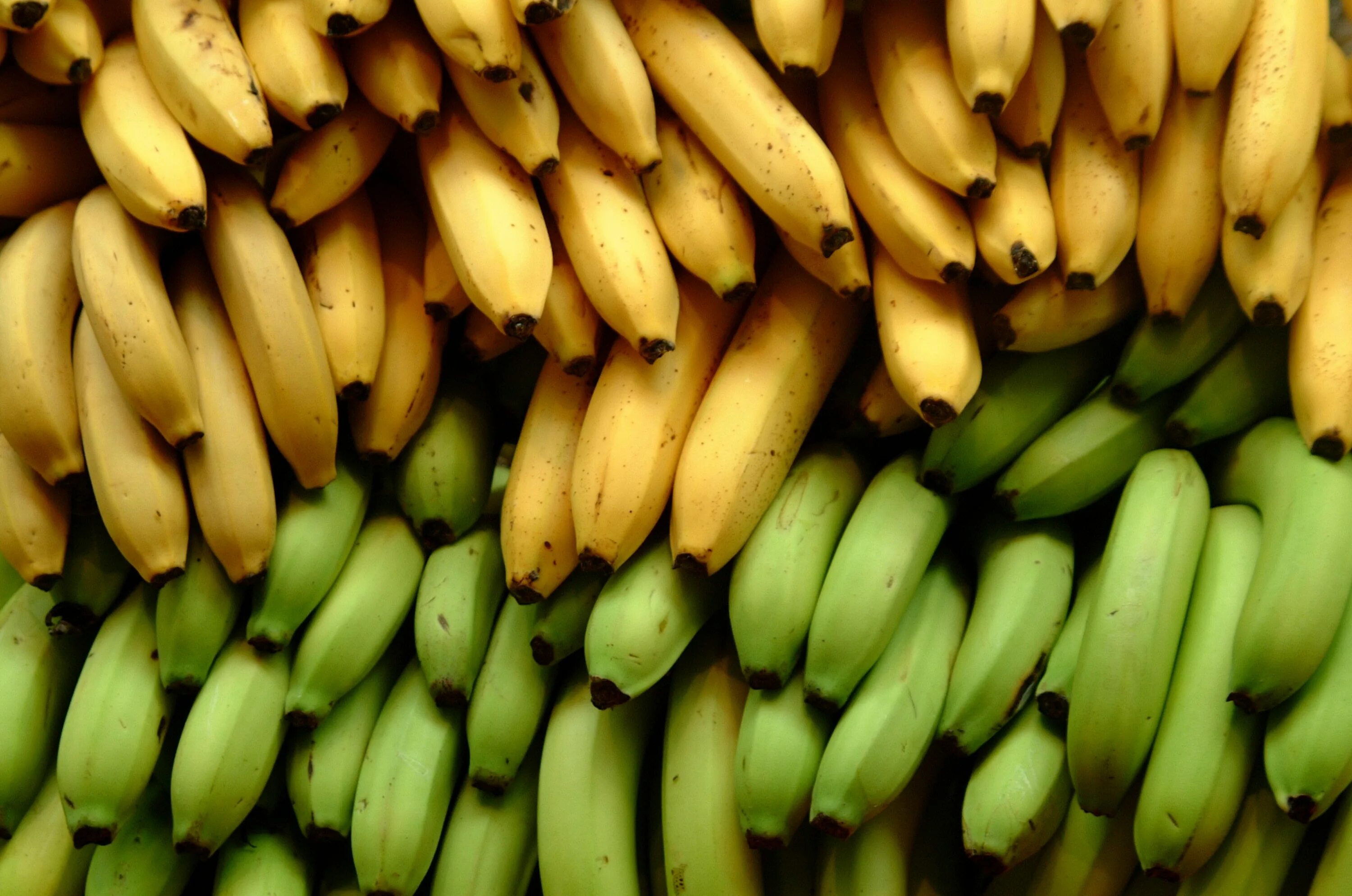 Bananashop