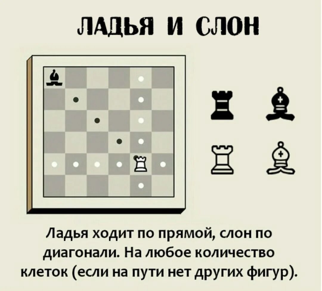 Как профессионально играть в шахматы. Правила игры в шахматы для начинающих как ходят фигуры. как ходят шахматные фигуры на доске для начинающих детей. шахматы правила игры фигуры. правила игры в шахматы для детей в картинках.