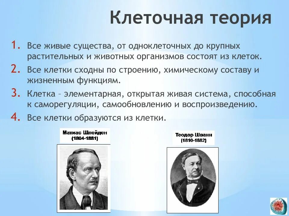 Теория 9 15. Клеточная теория. Теория клеточного строения. Клеточная теория строения организмов. Первая клеточная теория.