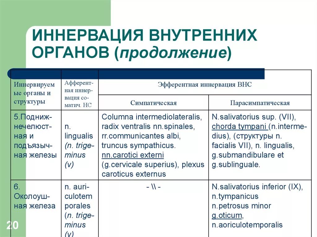 Иннервация это в медицине. Зона иннервации вегетативной нервной системы и соматической. Симпатическая иннервация сосудов. Вегетативная нервная система афферентная иннервация. Иннервация по корешкам схема.