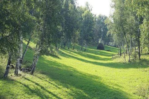 Заячья роща