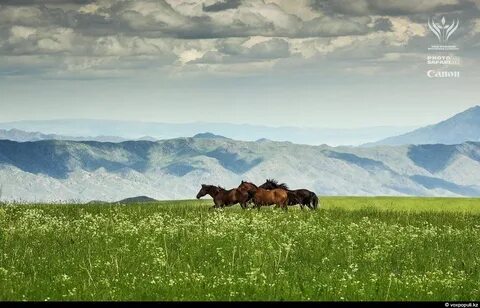 DIY пениса вакуумдық сорғы