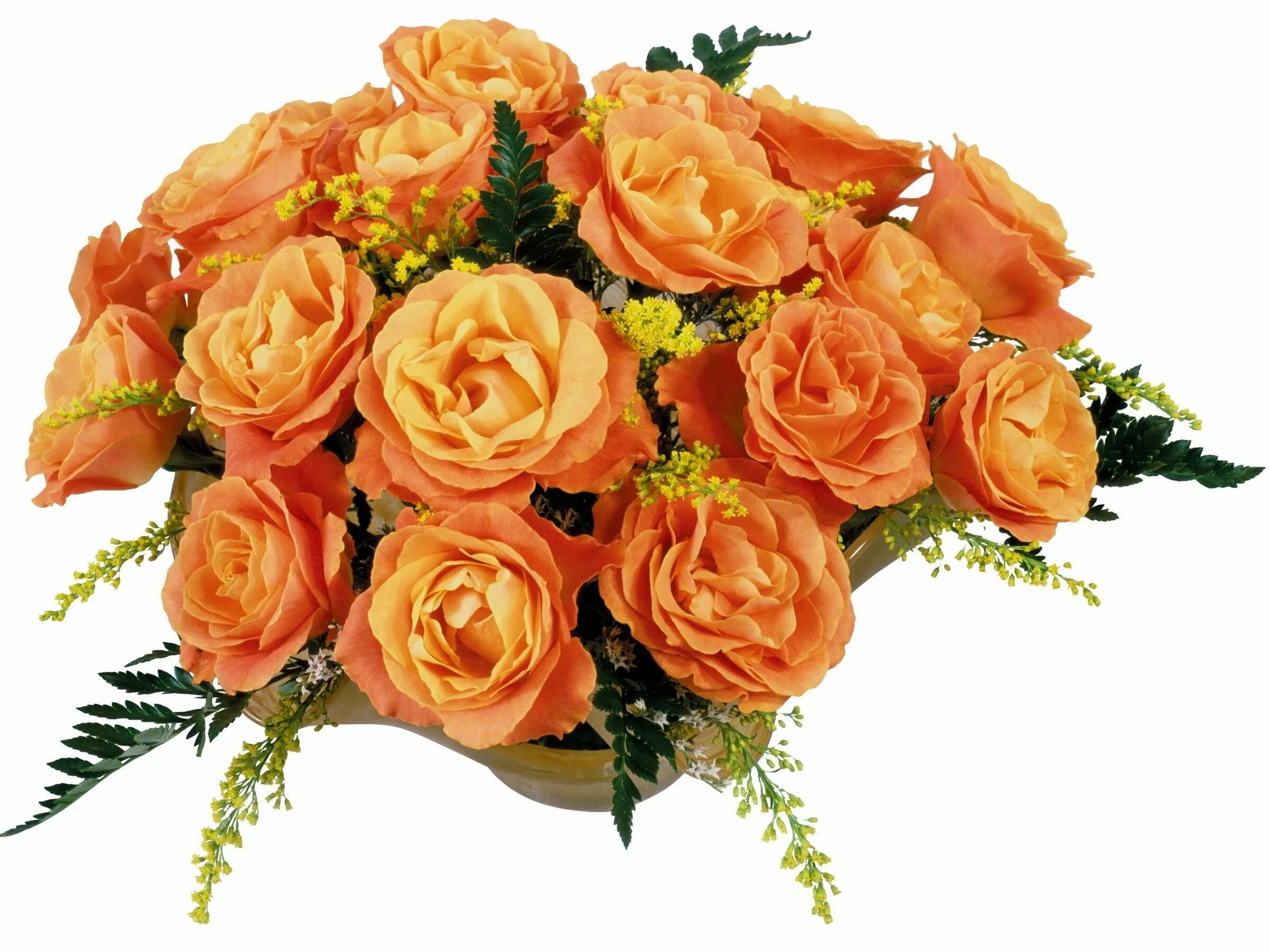 Оранжевые цветы. Оранжевые розы. Букет цветов на прозрачном фоне. Букет без фона.