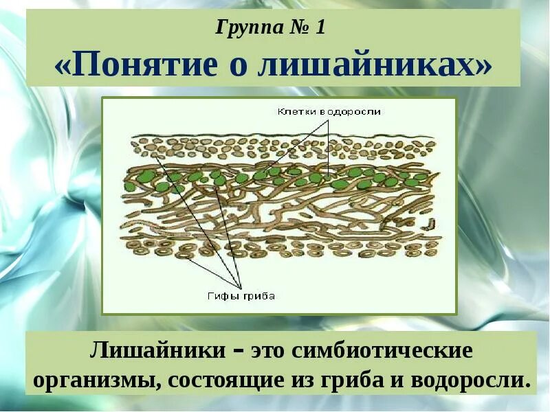 Почему лишайники грибы. Строение лишайников таблица. Лишайники 5 класс биология. Строение грибов и лишайников 6 класс. Лишайник биология строение.