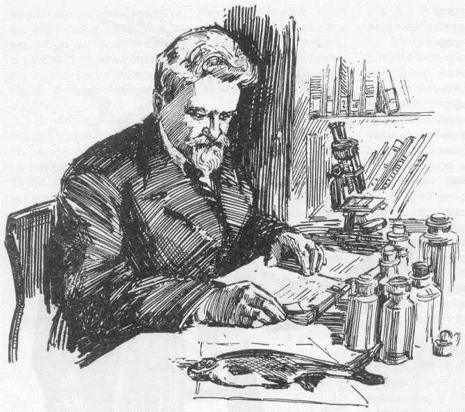 питер берг скандинавский сад. бергов земля. берг лев семенович и рго. л. аксель иванович берг.