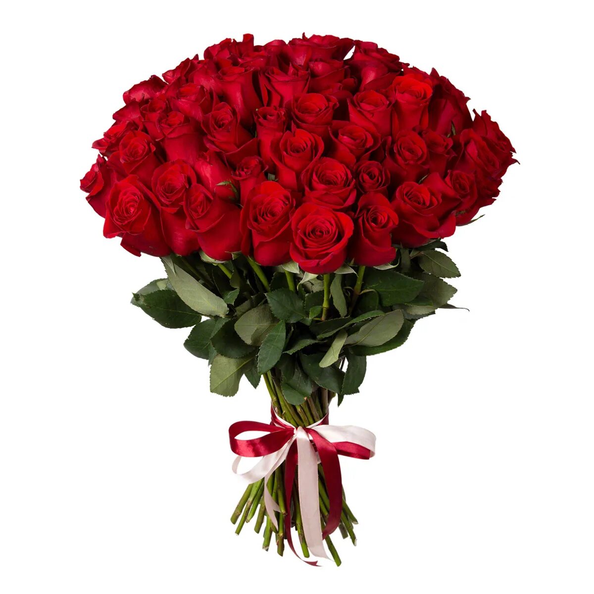 15 роз 50см craft v. 21 красная роза 50 см. Эквадорские красные розы. Букет красных роз (55). Букет красных роз 101шт / 50см.