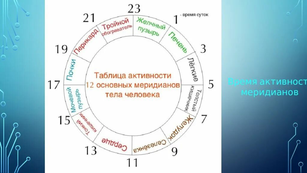 Часы активности меридианов. Активность меридианов человека. Активность меридианов человека по часам. Меридианы активность по времени.