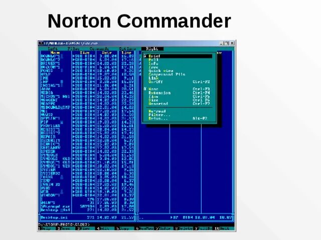 Norton Commander 5.0. Norton Commander представляет собой. Norton Commander 4. Norton Commander картинки. Norton commander dos