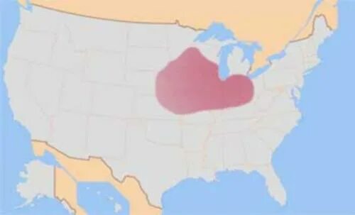 Хлопковый пояс сша. Молочный пояс сша штаты. Сельское хозяйство сша центры. Пшеничные и кукурузные пояса сша. Пшеничный пояс сша штаты.