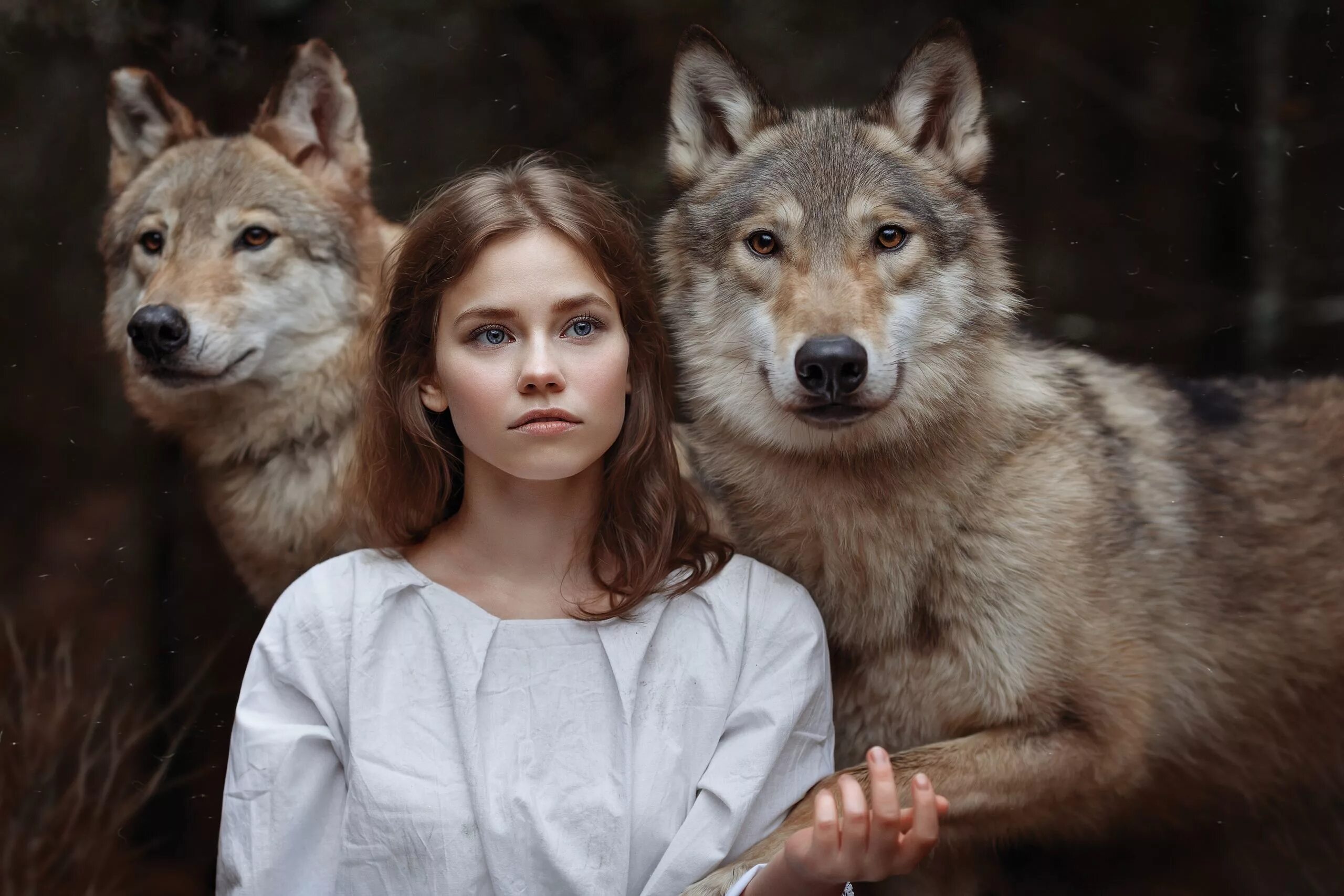 Волкособ. Девушка с волком. Красивая девушка с волком.