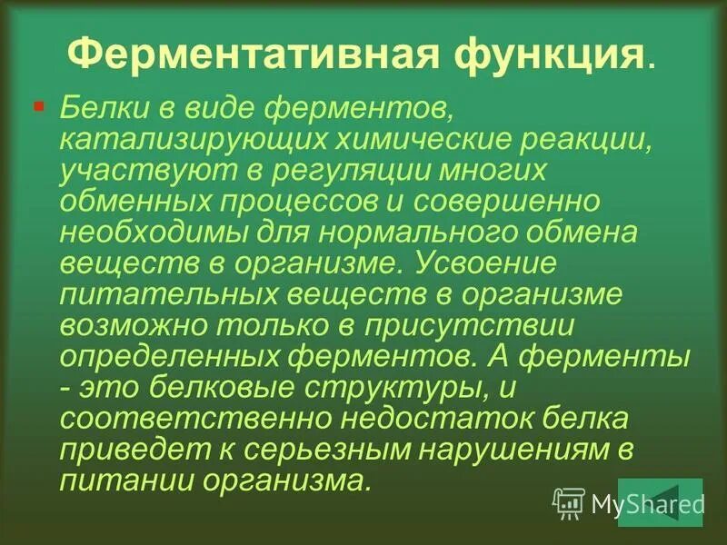 Ферментативная функция белков состоит в. Ферментативная функция белка. Ферментативная функция белков. Фермениатмвная функия. Белки выполняющие ферментативную функцию.