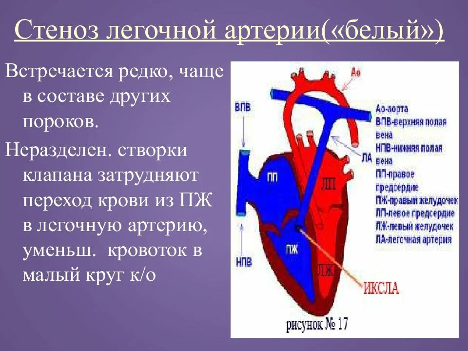 Впс сервис