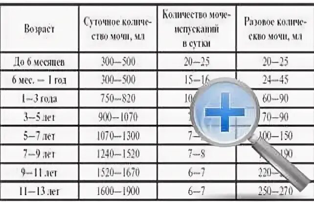 Сколько миллилитров мочи нужно