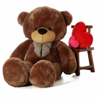 Big teddy