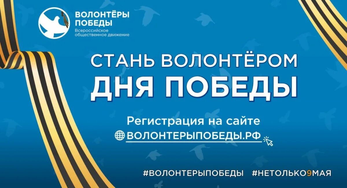 День общественных движений. Волонтеры Победы. Стань волонтером Победы. Всероссийское Общественное движение волонтеры Победы. Волонтеры Победы 9 мая.