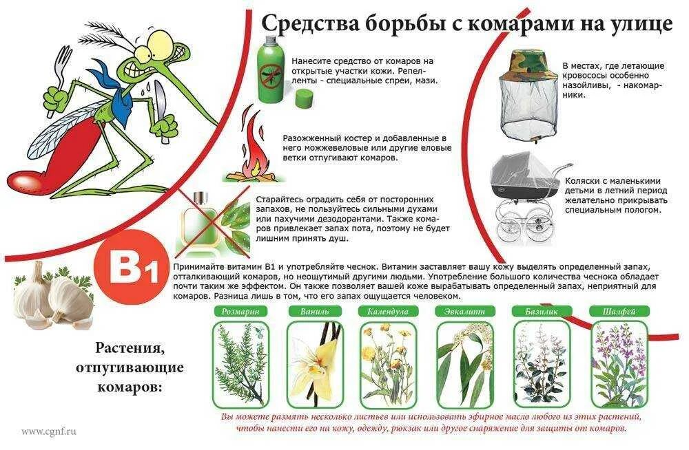 Народные методы защиты от комаров. Комары средства борьбы. Запахи которые отпугивают насекомых. Способы защиты от насекомых. Насекомые защищают растения