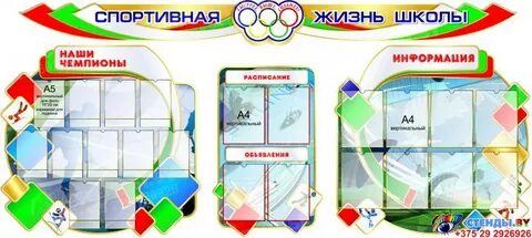 Спортивная жизнь школы