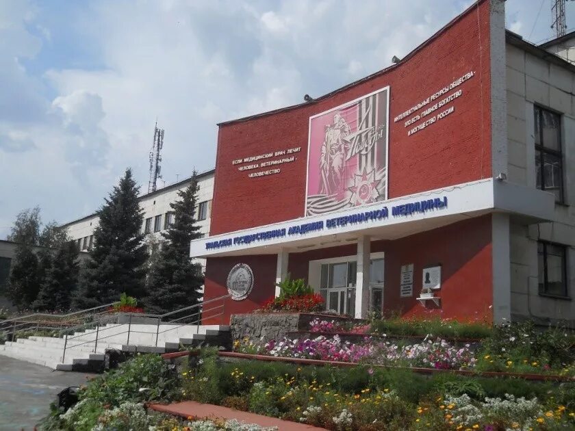 Южноуральский гау. Южноуральский аграрный университет троицк. Южно-уральский государственный аграрный университет внутренний двор. Южно-уральский гау логотип. Аграрный университет челябинск.