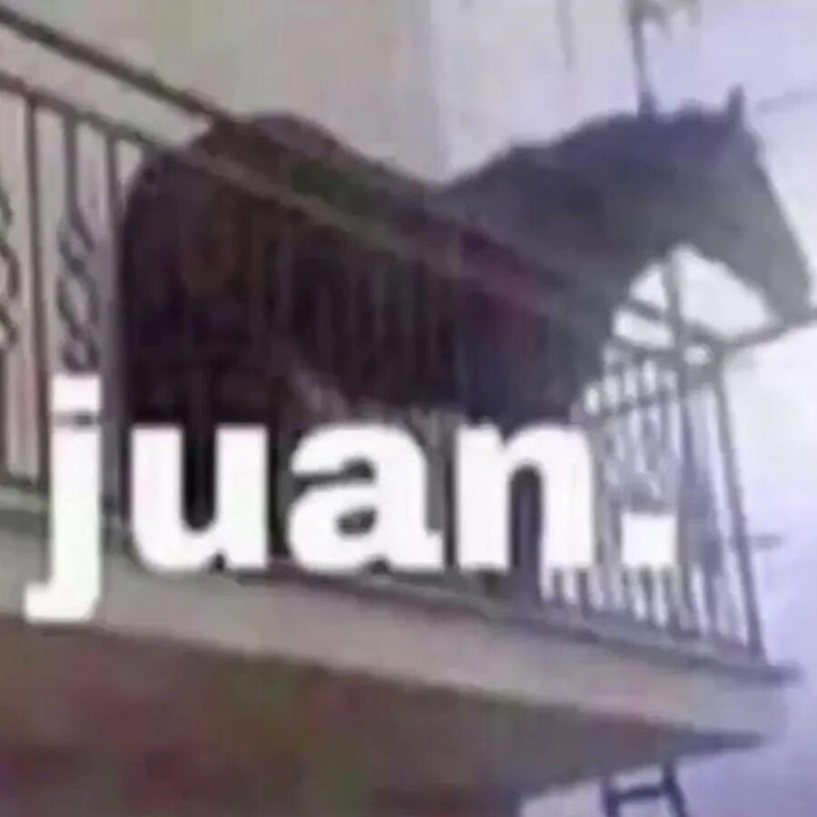Конь на балконе. Juan лошадь. хуан лошадь мем. лошадь на балконе мем. juan meme.