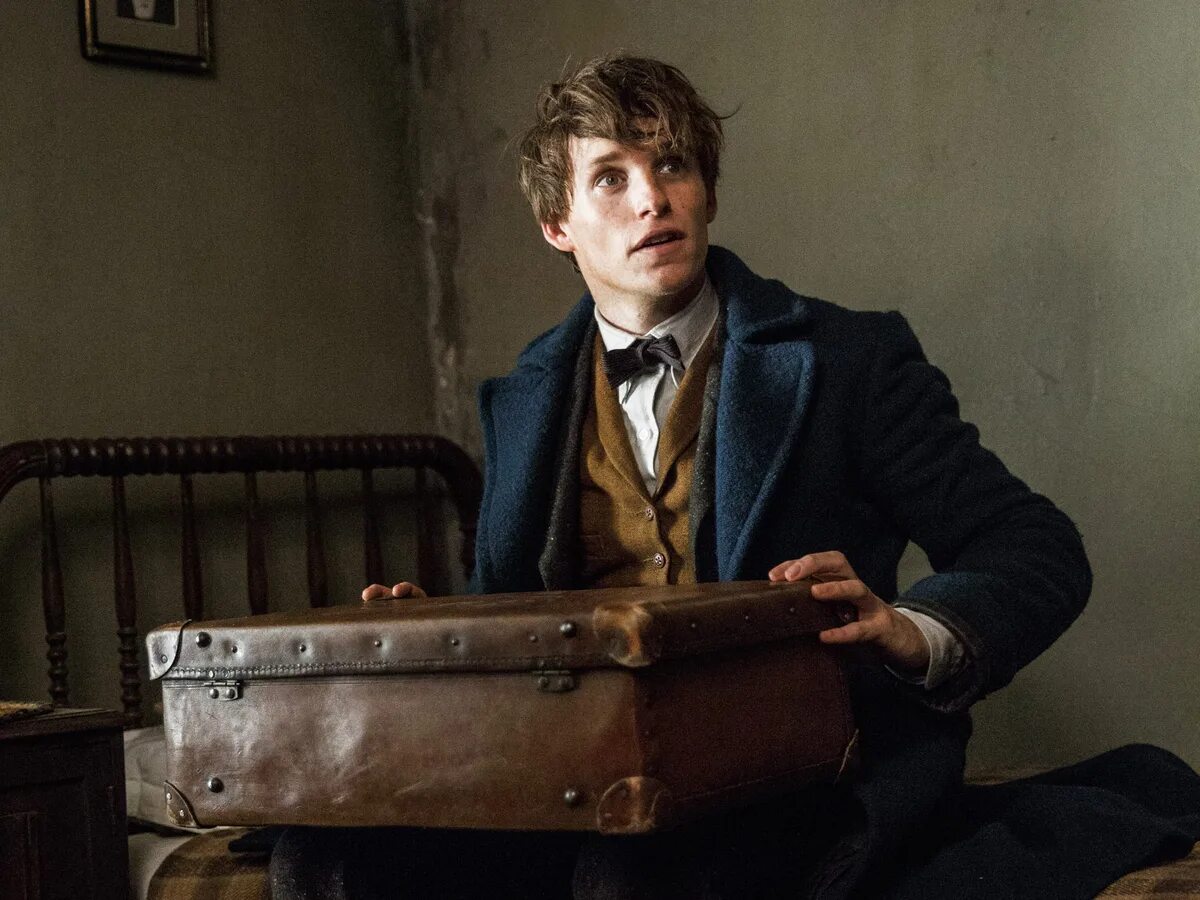 Ньютон саламандер. Нил саламандер. Ньютон саламандер. Эдди редмэйн ньют. Эдди редмэйн ньют скамандер.