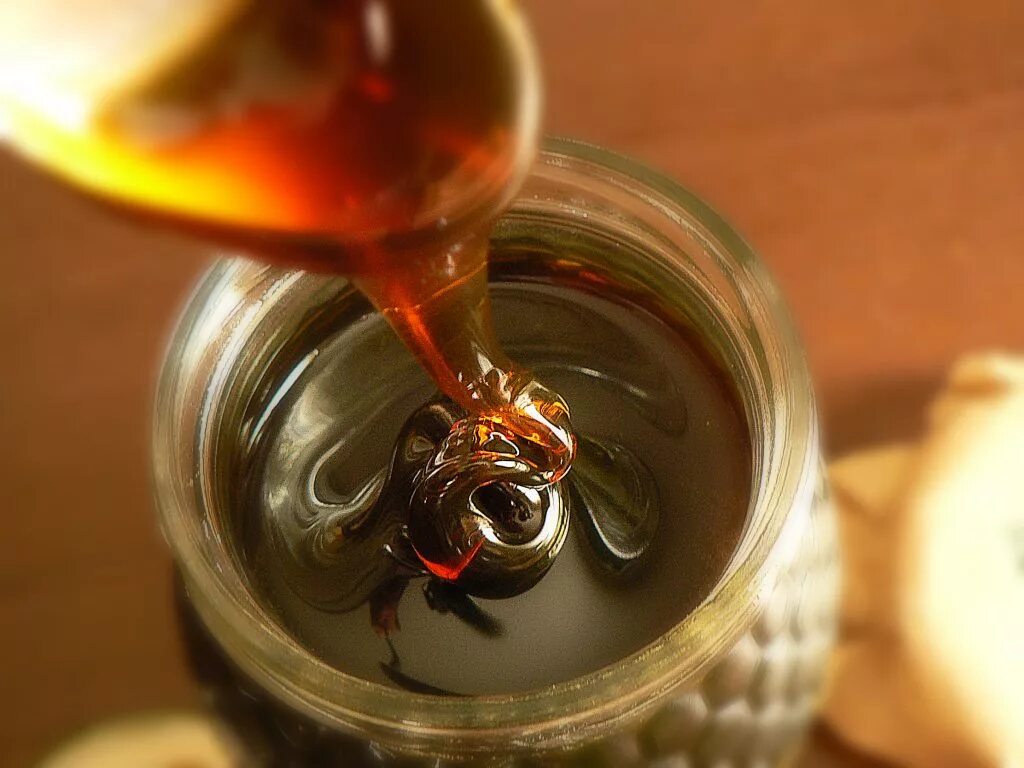 Что такое падевый мед. Падевый мёд. Мед черный падевый. Пчелы падевый мед. Падевый токсикоз пчел.